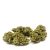 hemp-delight-hemp-flower-sour-diesel-htsour